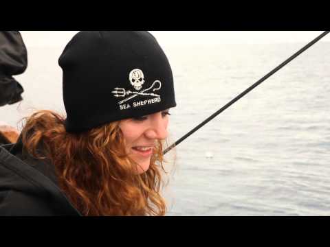 Meet The Crew - Gillian Graham, UK, Steve Irwin, Operation Zero Tolerance
