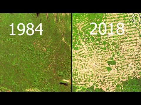 Forty years from orbit
