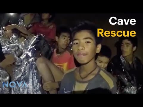 Saving thirteen lives: the day of the rescue