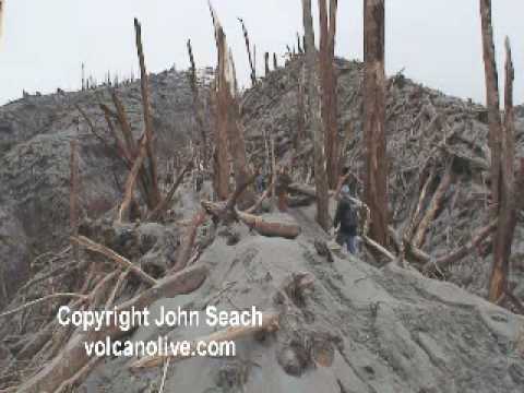 The 2008 Chaitén eruption