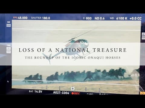 The Loss of a National Treasure: The Roundup of the Onaqui Wild Horses