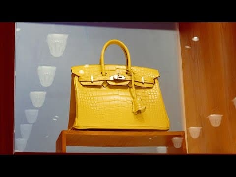 Hermès Sales Surprise on Robust Birkin Bag Demand