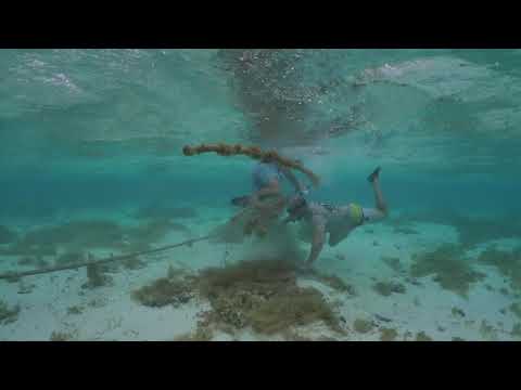Cocos Keeling Islands Clean-up 2020: Day One