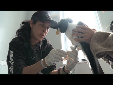 Meet the Crew - Cristina Cely, Galapagos, Bob Barker, Operation Zero Tolerance