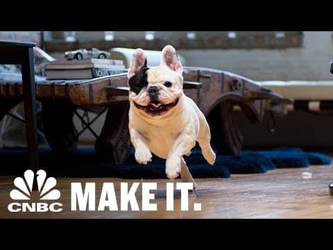 How Manny The Frenchie Handles The Fame Of Nearly 3 Million Followers