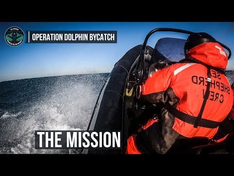 The Mission | Operation Dolphin Bycatch