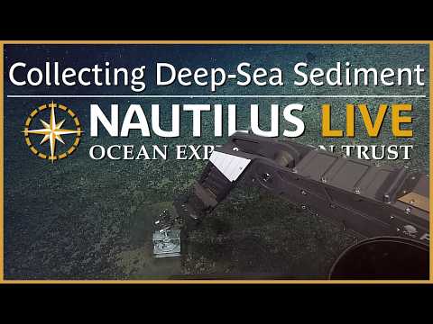 Collecting Deep-Sea Sediment in a Box Corer | Nautilus Live