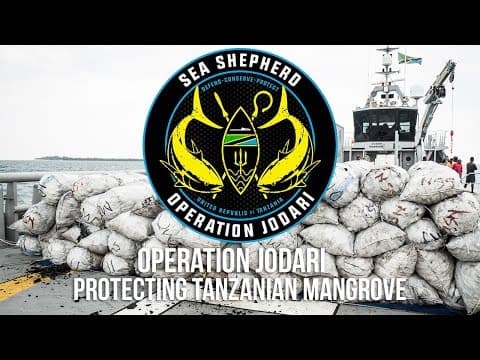 Sea Shepherd Helps Protect Tanzanian Mangrove