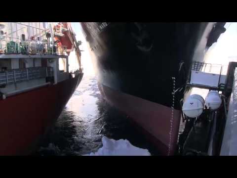 NEW MEDIA REEL: Nisshin Maru Rams Bob Barker and Sun Laurel