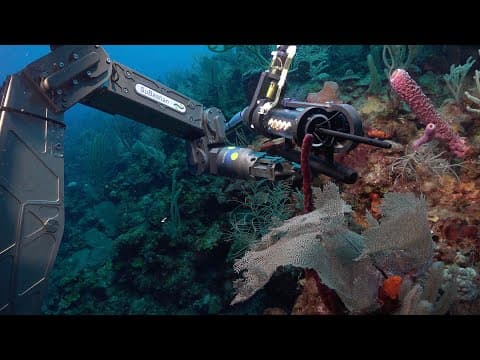 Deep-Sea Chemical Laboratories | Health Diagnostics of Deep-Sea Coral - Week 2
