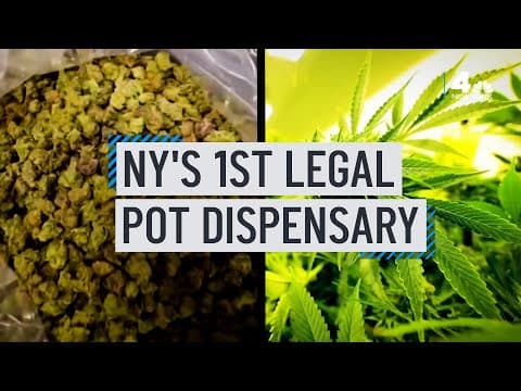 New York's first legal recreational dispensary opens