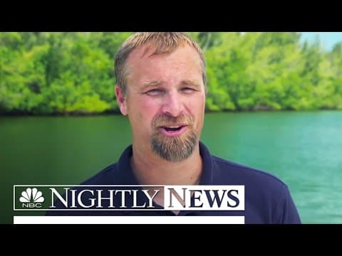 Great White Sharks: Up Close and Personal | NBC Nightly News