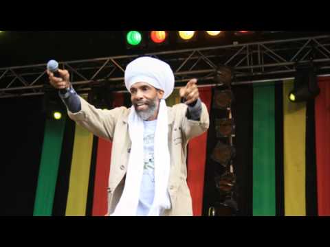 REGGAE GEEL 2011