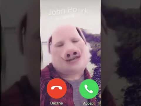 John Pork is calling — day 101