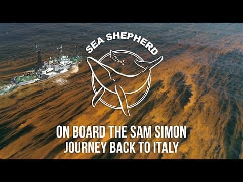 On Board the Sam Simon: Journey Back to Italy