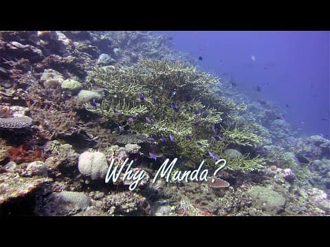 Why we love Diving Munda in just 75 seconds