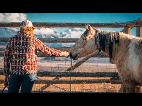 We Are Adopting This Wild Horse! Mustang Pickup Day