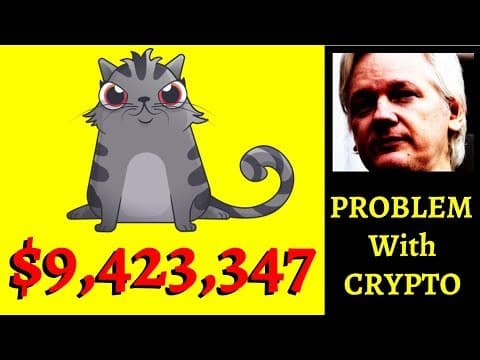 CryptoKitties congests the Ethereum network and introduces non-fungible tokens to a non-technical public