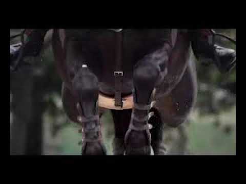 Hermès - Horse in the city_2