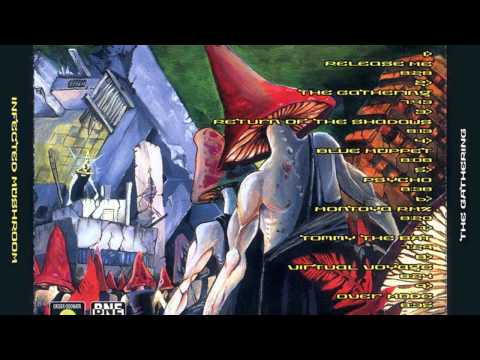 Infected Mushroom - Tommy the Bat