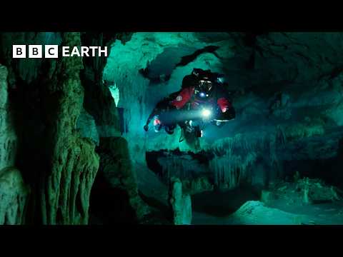 Cave divers explore the cenotes of the Yucatan