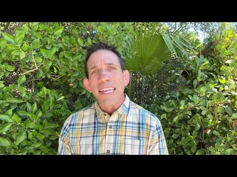 WHAT IS A CORTISOL COCKTAIL ?