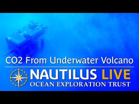 Beautiful CO2 Bubbles From Underwater Volcano | Nautilus Live