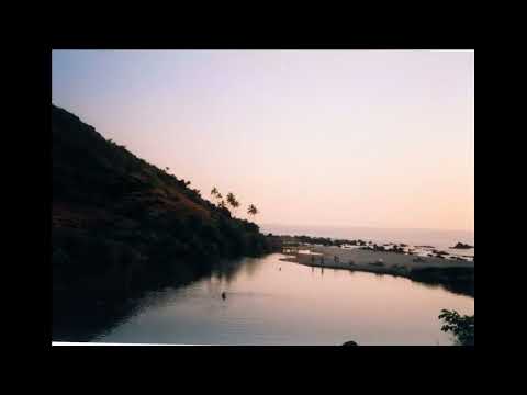 some tracks from GOA party 1993