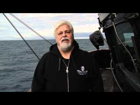 A Special Message From Captain Paul Watson on the Victory in the Southern Ocean!