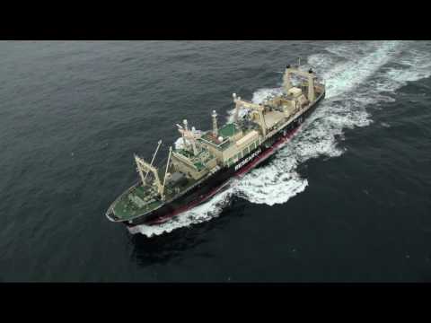 Operation Nemesis: Support Sea Shepherd's 11th Whale Defense Campaign