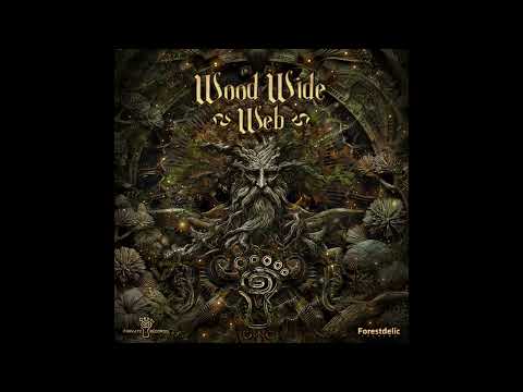 Codex Spiralis - Spiralia