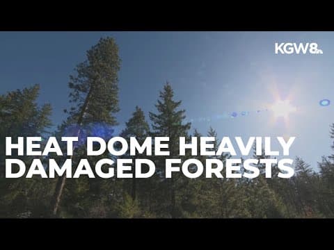 The 2021 Pacific Northwest heat dome