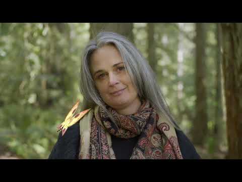 Julia’s reflections — "Where have all the humans gone?"