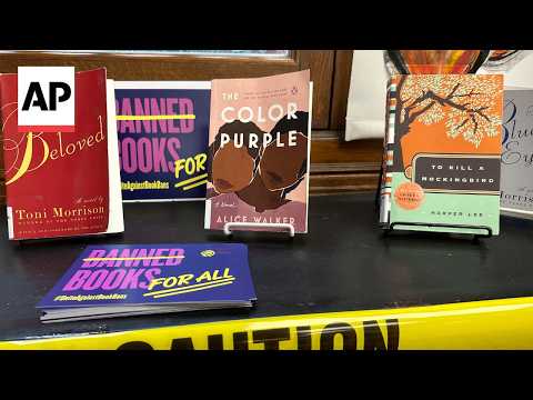 Book bans remain at record highs, ALA says