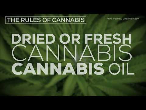 What Happens on Cannabis Legalisation Day