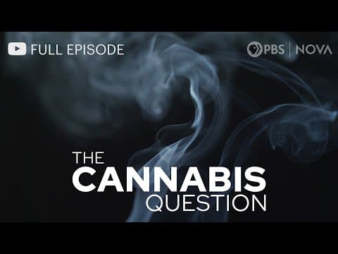 The Cannabis Question - NOVA full documentary