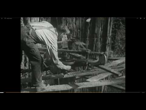How Loggers Cut Giant Redwoods (1940) — the era Stihl set out to change