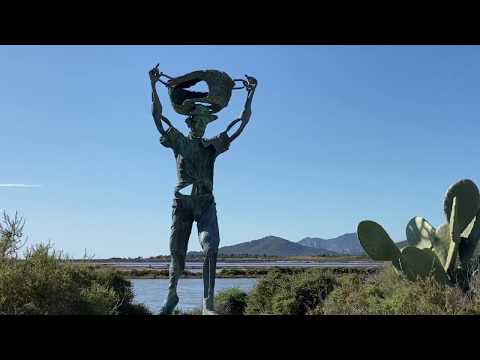 Ibiza -  Ses Salinas 1955 to present