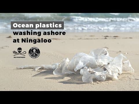 Ocean plastics washing ashore at Ningaloo