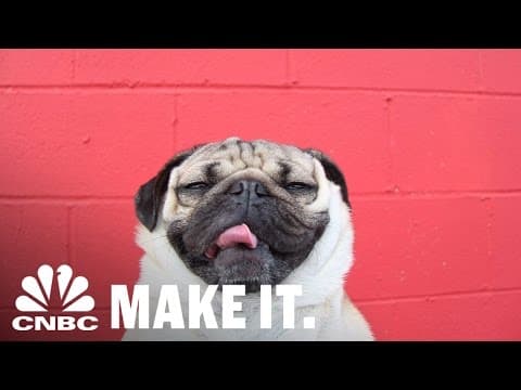 How Doug The Pug Rose To Internet Stardom