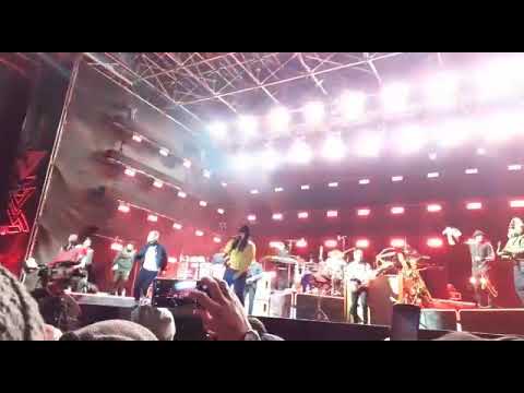 Seeed Ischgl 2019(2)