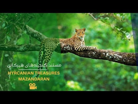 Documentary IRAN | Mazandaran Land of Treasures | مستند جذاب مازندران سرزمین گنجینه‌های هیرکانی
