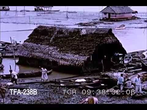 The Amazon, Life Along the River in Peru (1962)