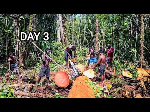 DAY 3 | Preparing logs ready for milling | Solomon Islands