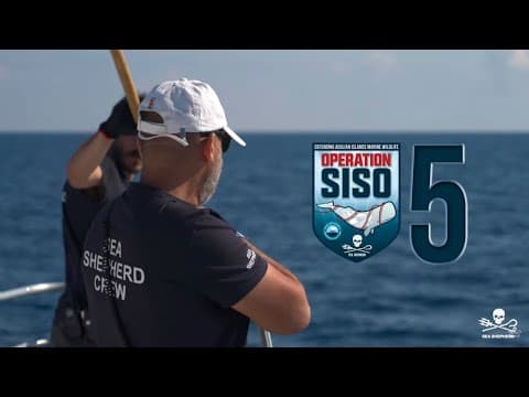 Discovering an Illegal Driftnet in the Med
