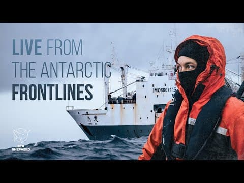 Live From the Antarctic Frontlines