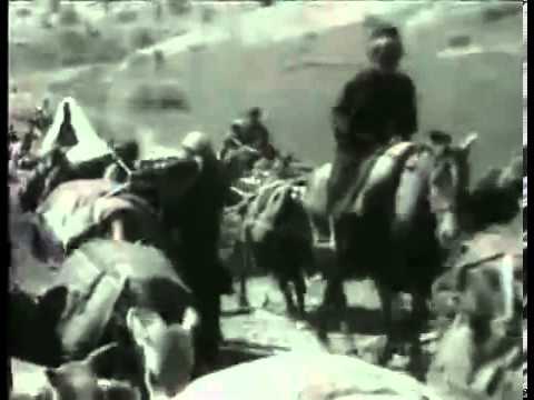 GRASS: A NATION BATTLE FOR LIFE / AFF 2013 (2 of 2)