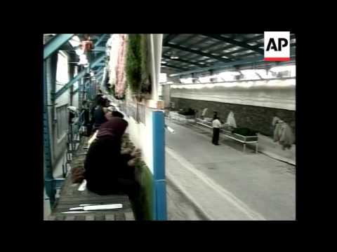 Weavers in rural Iran try to make the world's largest rug.