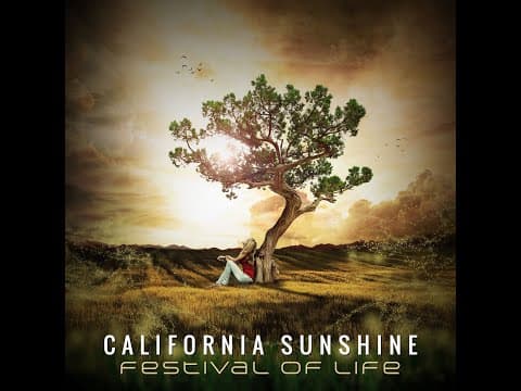 California Sunshine - Back To Goa 1992