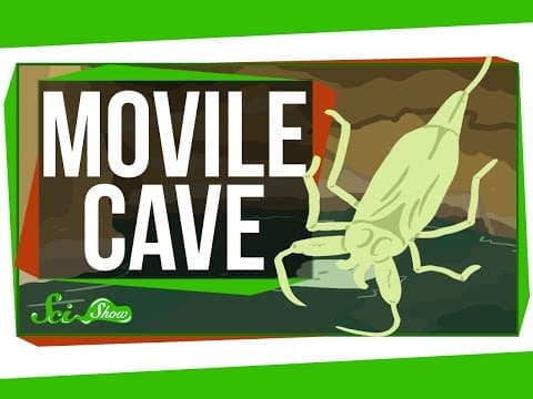 Weird Places: Movile Cave